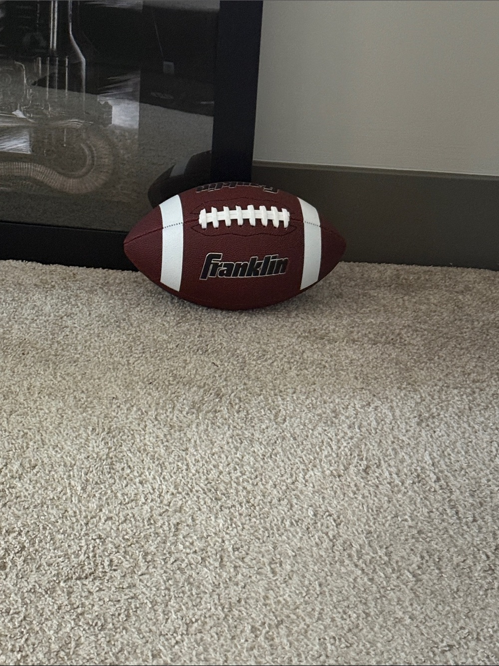Brown and White Football -